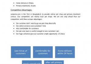 Online Store Business Plan Template Business Plan for Online Supermarket Pspl Culture Quest