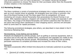 Online Store Business Plan Template Business Plan Writing Tips and Templates New Business