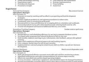 Operations Manager Resume Sample Unforgettable Operations Manager Resume Examples to Stand