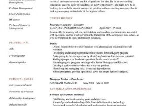 Operations Manager Resume Template Business Operations Manager Resume Examples Cv Templates