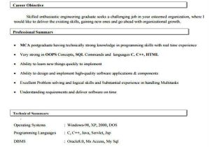 Oracle Apps Fresher Resume format 40 Fresher Resume Examples