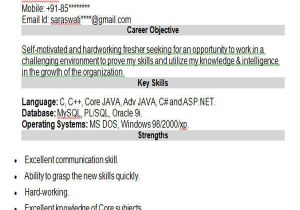 Oracle Apps Fresher Resume format 43 Professional Fresher Resumes