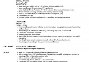 Oracle Dba Resume Sample Junior Dba Resume Samples Velvet Jobs