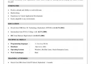 Oracle Fresher Resume Sample Dba Resume