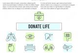 Organ Donor Card Template organ Donor Card Template