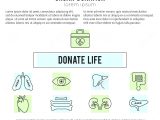 Organ Donor Card Template organ Donor Card Template