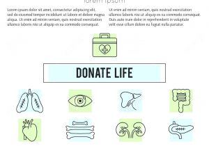 Organ Donor Card Template organ Donor Card Template