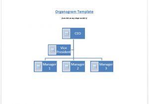 Organograms Templates organogram Template Microsoft Word Templates
