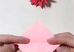 Origami Pop Up Card Flower Dry Gypsophila Preserved Fresh Flower with Acrylic Encloser as Valentine S Day Gift ornament Video Video Blumen Selber Basteln Papierblumenhandwerk Blumen Basteln Aus Papier