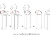 Package Design Templates Illustrator Free Packaging Dieline Template Vector 123freevectors