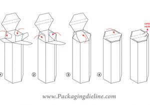 Package Design Templates Illustrator Free Packaging Dieline Template Vector 123freevectors