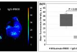 Pan Card Photo Background Color Cancers Free Full Text Near Infrared Molecular Imaging