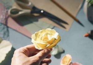Paper Roses for Card Making 11 Diy Paper Flowers You Can Make for All Occasions