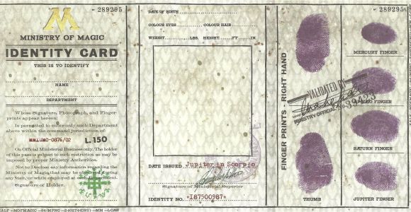 Paper Used for Id Card Harry Potter Ministry Of Magic Identification Card Harry