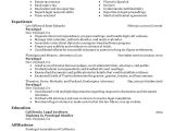 Paralegal Resume Templates Best Paralegal Resume Example Livecareer