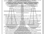 Paralegal Resume Templates Paralegal Resume Example Resume Examples Resume and