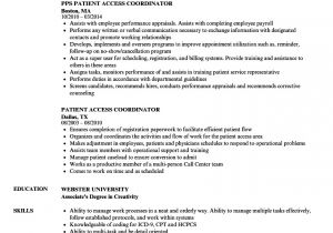 Patient Access Representative Resume Sample Patient Access Coordinator Resume Samples Velvet Jobs