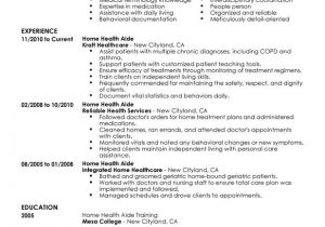 Patient Care Technician Resume Objective Sample Patient Care Technician Resume Objective Examples