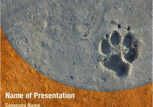 Paw Print Powerpoint Template Foot Print Powerpoint Templates Foot Print Powerpoint