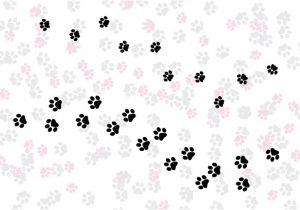 Paw Print Powerpoint Template Paw Print Powerpoint Template Quick Tip How to Create A