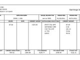 Paycheck Stub Template In Microsoft Word 10 Pay Stub Templates Word Excel Pdf formats