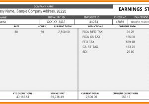 Paycheck Stub Template In Microsoft Word 6 Paycheck Stub Template In Microsoft Word Pay Stub format