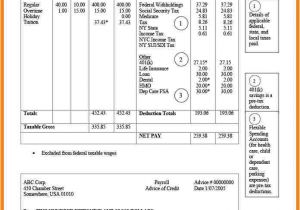 Paycheck Stub Template In Microsoft Word 9 Paycheck Stub Template In Microsoft Word Samples Of