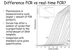 Pcr Template Amount Introduction to Real Time Pcr Ppt Download