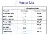 Pcr Template Amount the Polymerase Chain Reaction Pcr Ppt Video Online