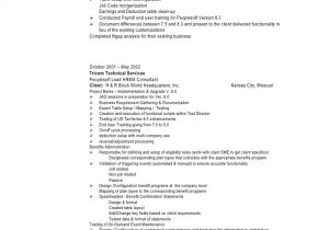 Peoplesoft Hrms Resume Sample Peoplesoft Hrms Functional Consultant Resume Resume Ideas