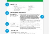 Perfect Resume for Job Interview How to Write A Great Professional Resume that Will Get You