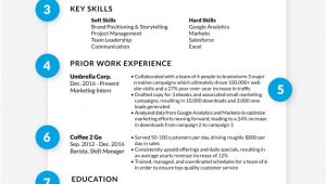 Perfect Resume for Job Interview How to Write A Great Professional Resume that Will Get You