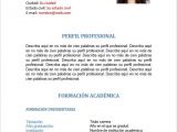 Perfil Profesional Resumen formato Hoja De Vida Perfil Profesional Y Datos July