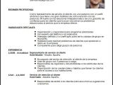 Perfil Profesional Resumen Modelo Cv Representante De Servicio Al Cliente Livecareer