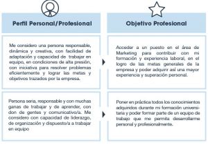Perfil Profesional Resumen Perfil Personal Y Objetivo Profesional Usvirtualempleo