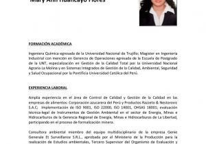 Perfil Profesional Resumen Resumen Perfil Profesional Mary Ann Huancayo Flores