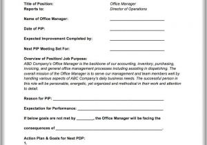Performance Improvement Email Template Performance Improvement Plan Template Instructions