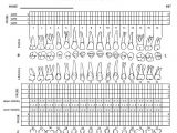 Periodontal Chart Template Blank Chart Templates 8 Download Free Documents In Pdf