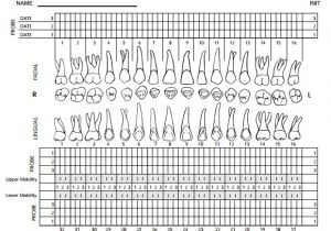 Periodontal Chart Template Blank Chart Templates 8 Download Free Documents In Pdf
