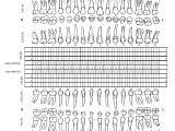 Periodontal Chart Template Periodontal Charting form