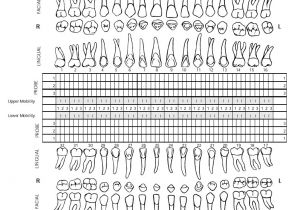 Periodontal Chart Template Periodontal Charting form