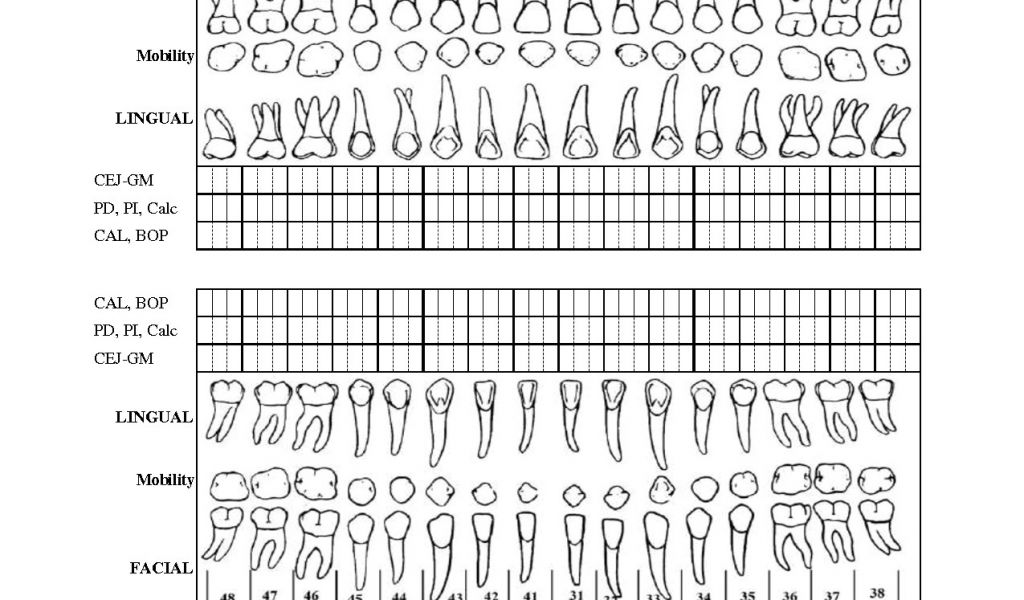 periodontal-chart-template-periodontal-charting-form-pdf-perio-charting-form-pdf-williamson-ga-us