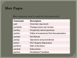 Perl Script Template Perl Basics with Examples