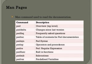 Perl Script Template Perl Basics with Examples