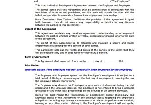 Permanent Employment Contract Template Sample Individual Employment Agreement 9 Documents In