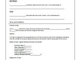 Person to Person Contract Template 45 Loan Agreement Templates Samples Write Perfect