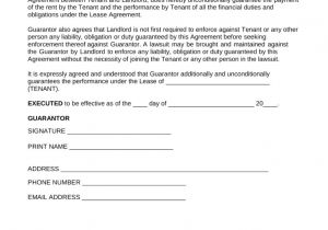 Personal Guarantee Template Uk 15 New Agreement Letter for Guarantor Pictures Complete