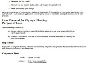 Personal Loan Proposal Template Proposal Template Proposal formats Samples and Docs