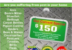 Pest Control Brochure Template 10000 Flyer Printing Online Full Colour Flyers
