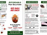 Pest Control Brochure Template 8 Best Images Of Bed Bug Flyer Bed Bug Prevention